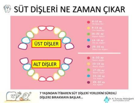 Süt dişleri ne zaman çıkar?