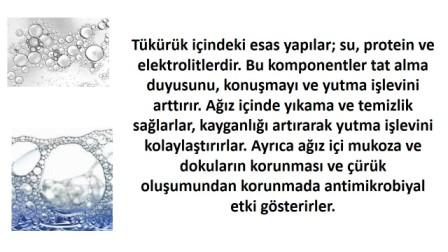 tükürük yapısında bulunan elementler