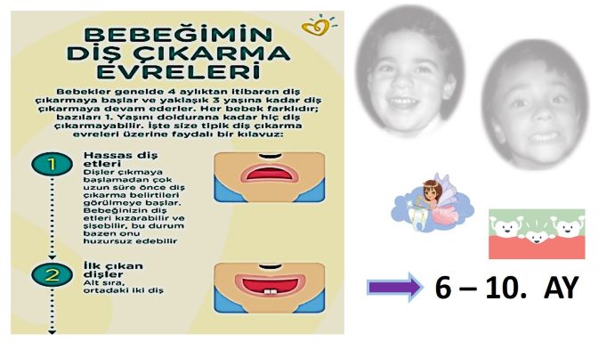 bebeklerde diş çıkartma evreleri