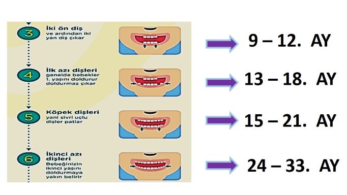 süt dişlerin çıkma zamanı