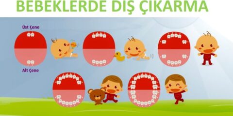 bebeklerde diş çıkarma