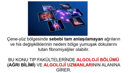 Fibromiyalji hastalığına hangi bölüm bakar ?