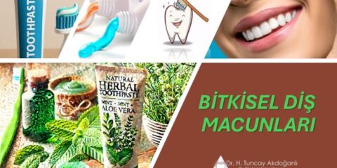 bitkisel içerikli diş macunları