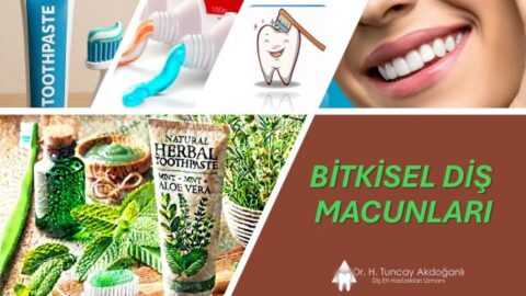 bitkisel içerikli diş macunları