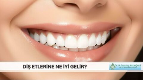 diş etine ne iyi gelir konulu sunum